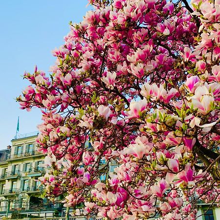 Hotel Des Trois Couronnes & Spa - The Leading Hotels Of The World Vevey Eksteriør billede